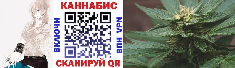 Конопля White Widow хочу наркоту Зима